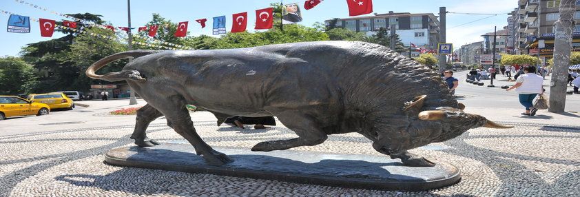 Söğütlüçeşme Tercüme Bürosu